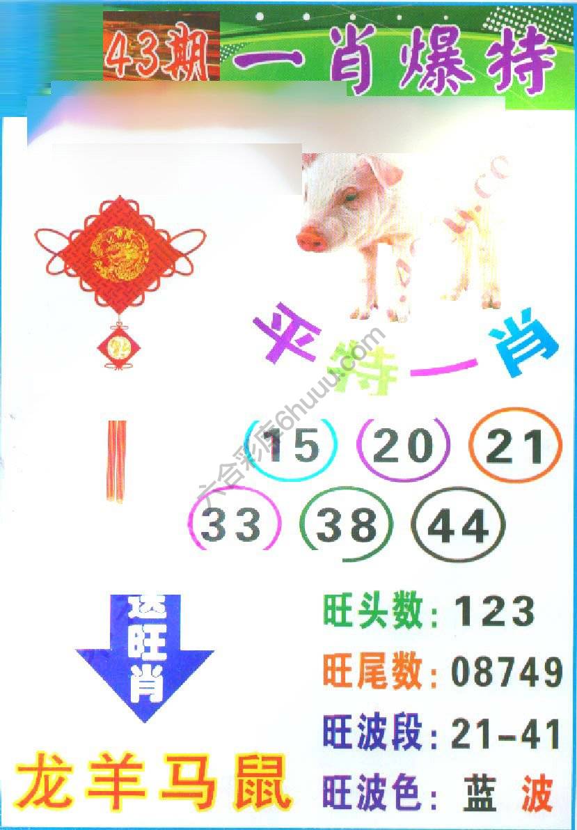 一肖爆特（新版）