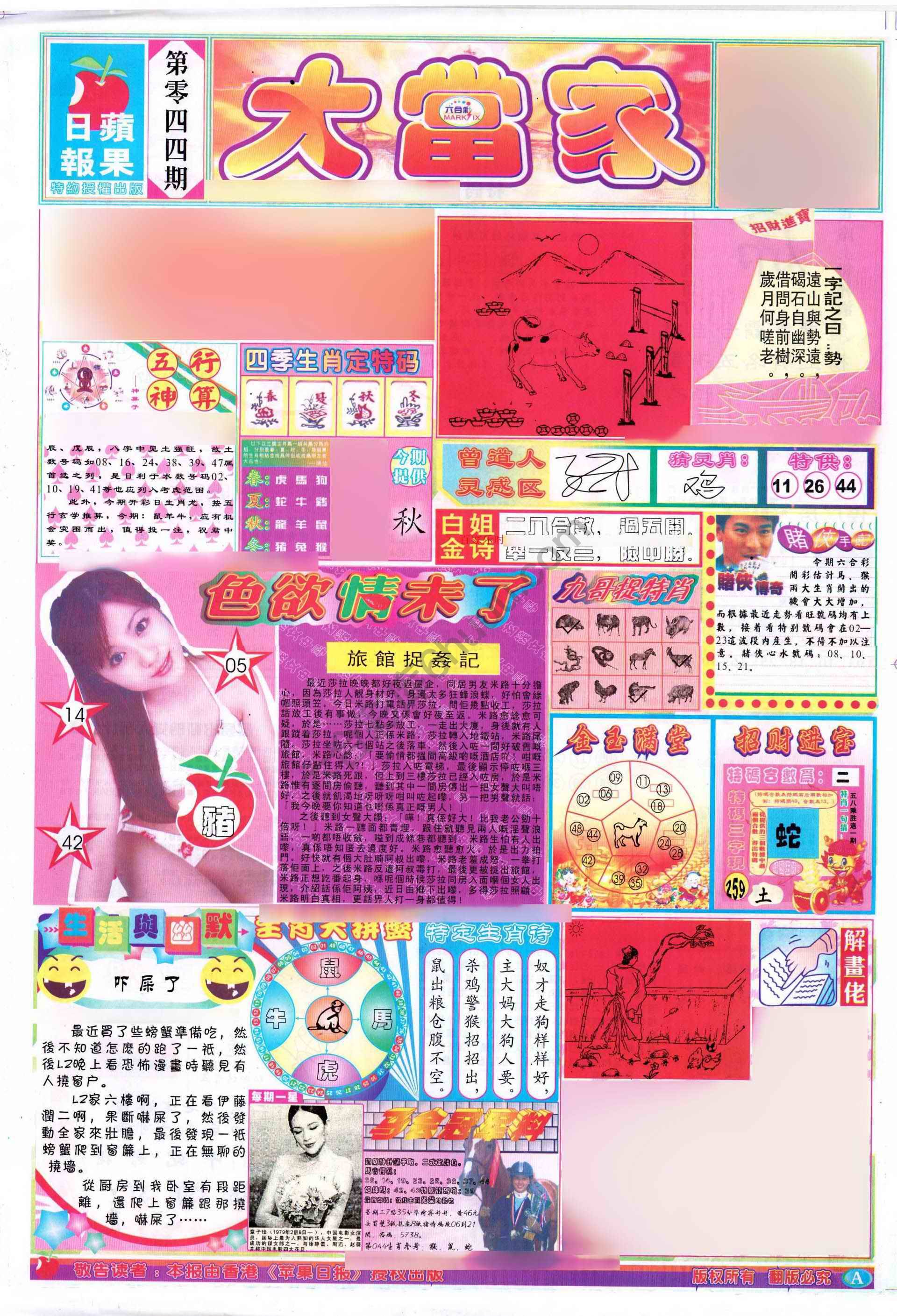 大当家