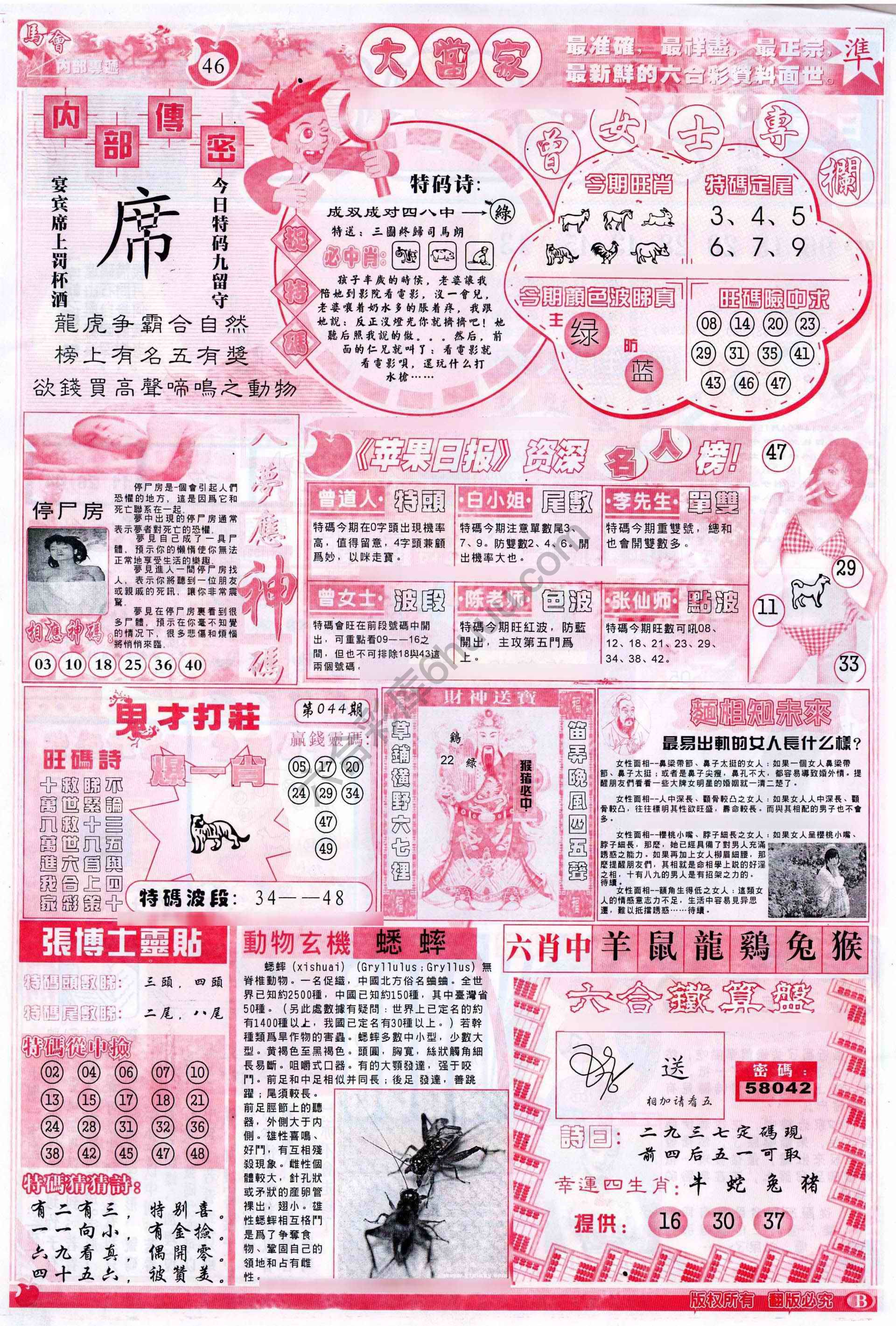 大当家