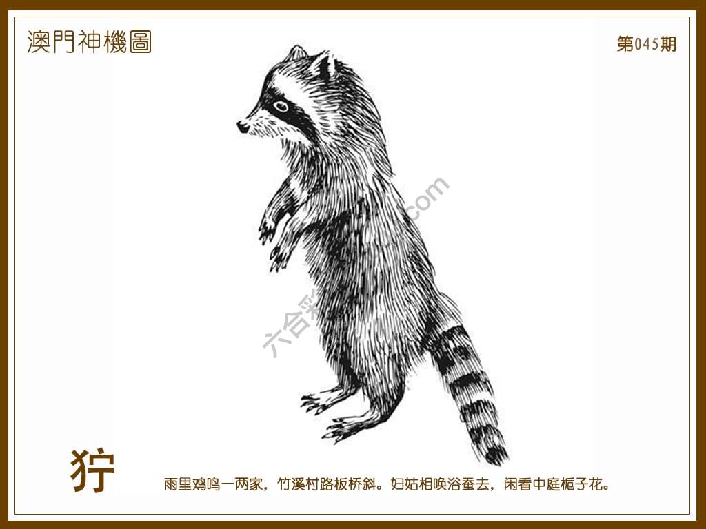 澳门神机图