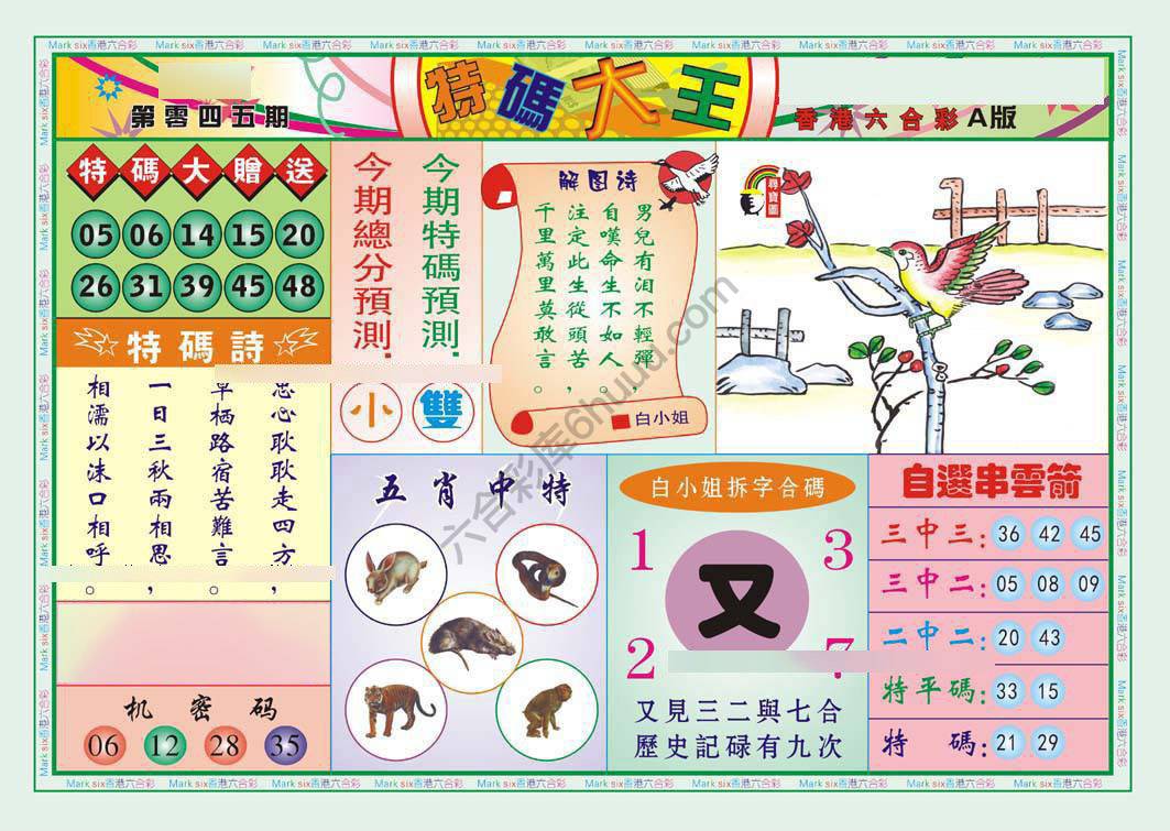 特码大王