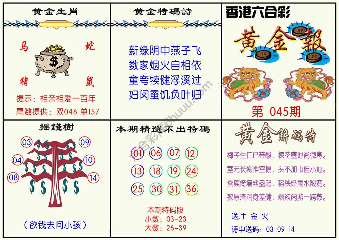 黄金报