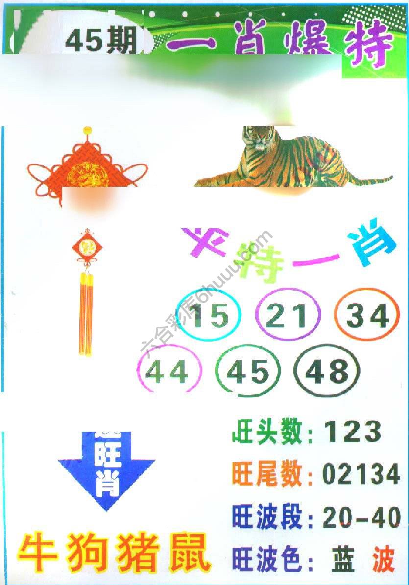 一肖爆特（新版）