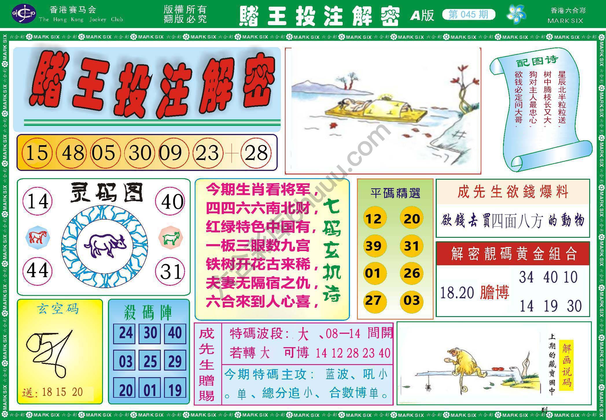 赌王投注解密