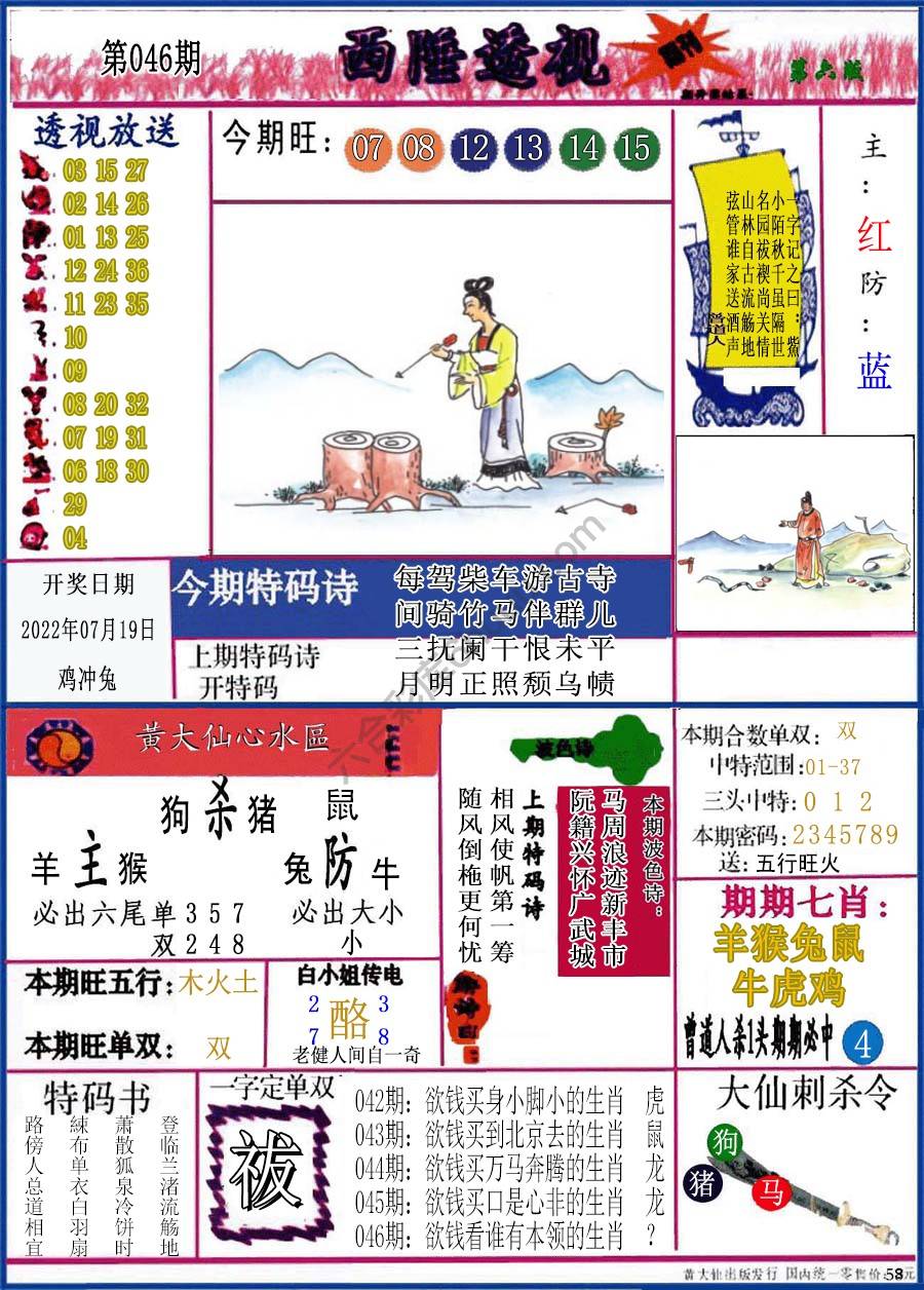 西陲透视（正版）