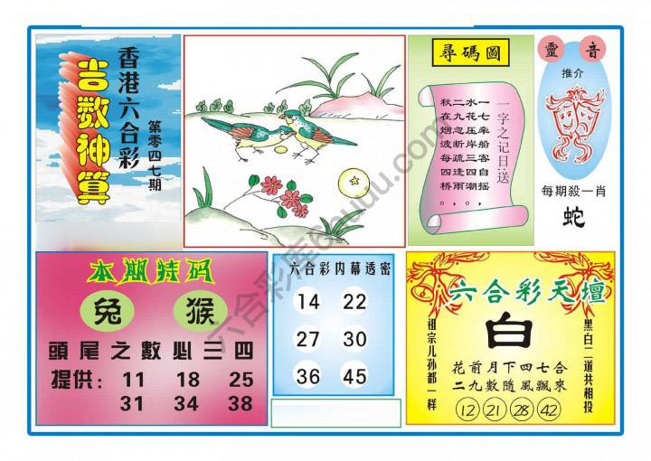 吉数神算