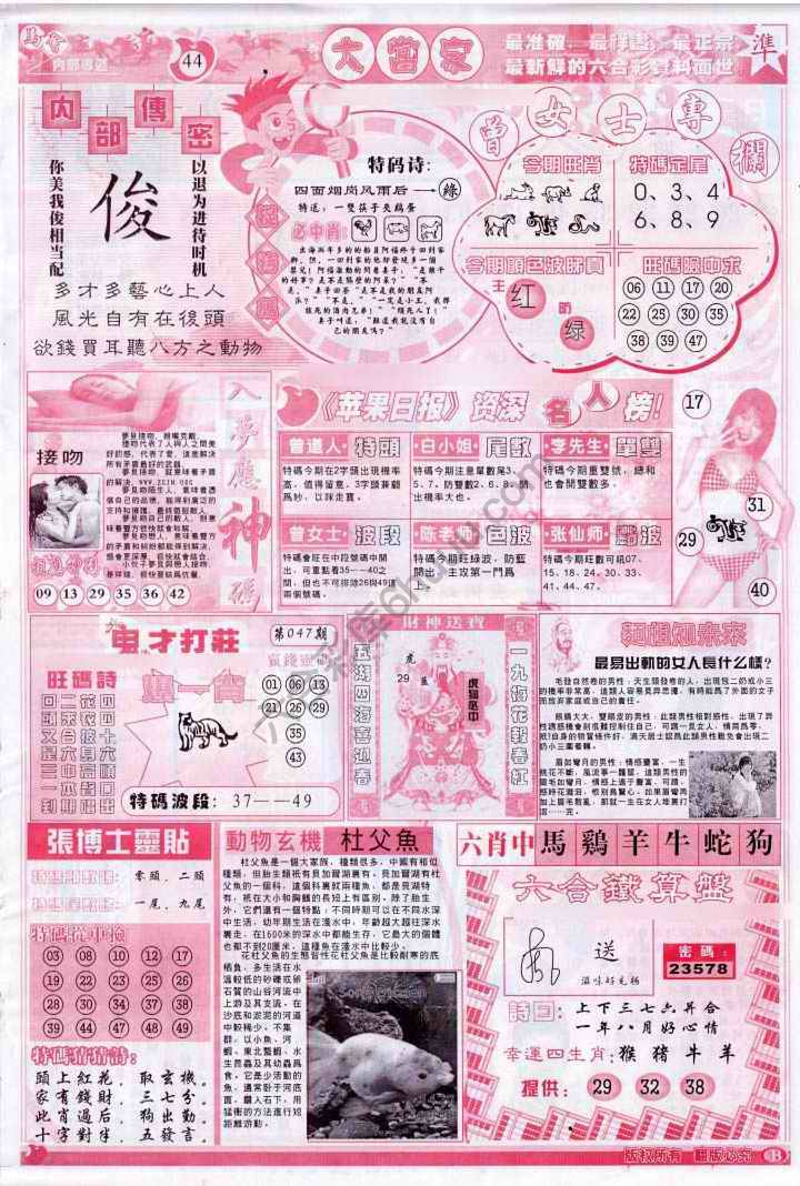 大当家