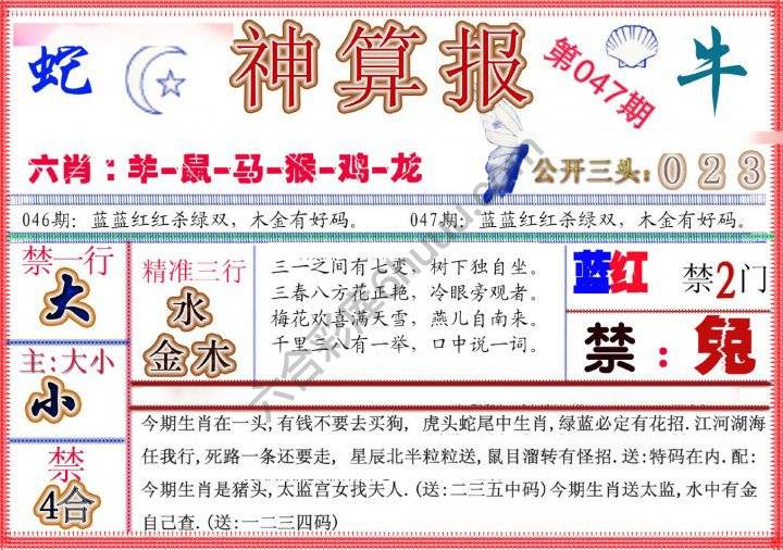 神算报新版