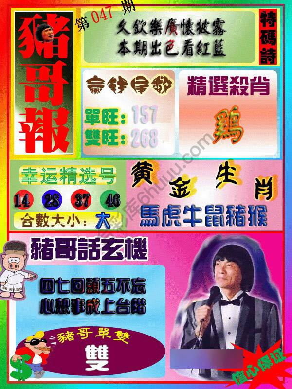 猪哥报