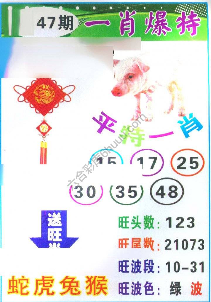 一肖爆特（新版）