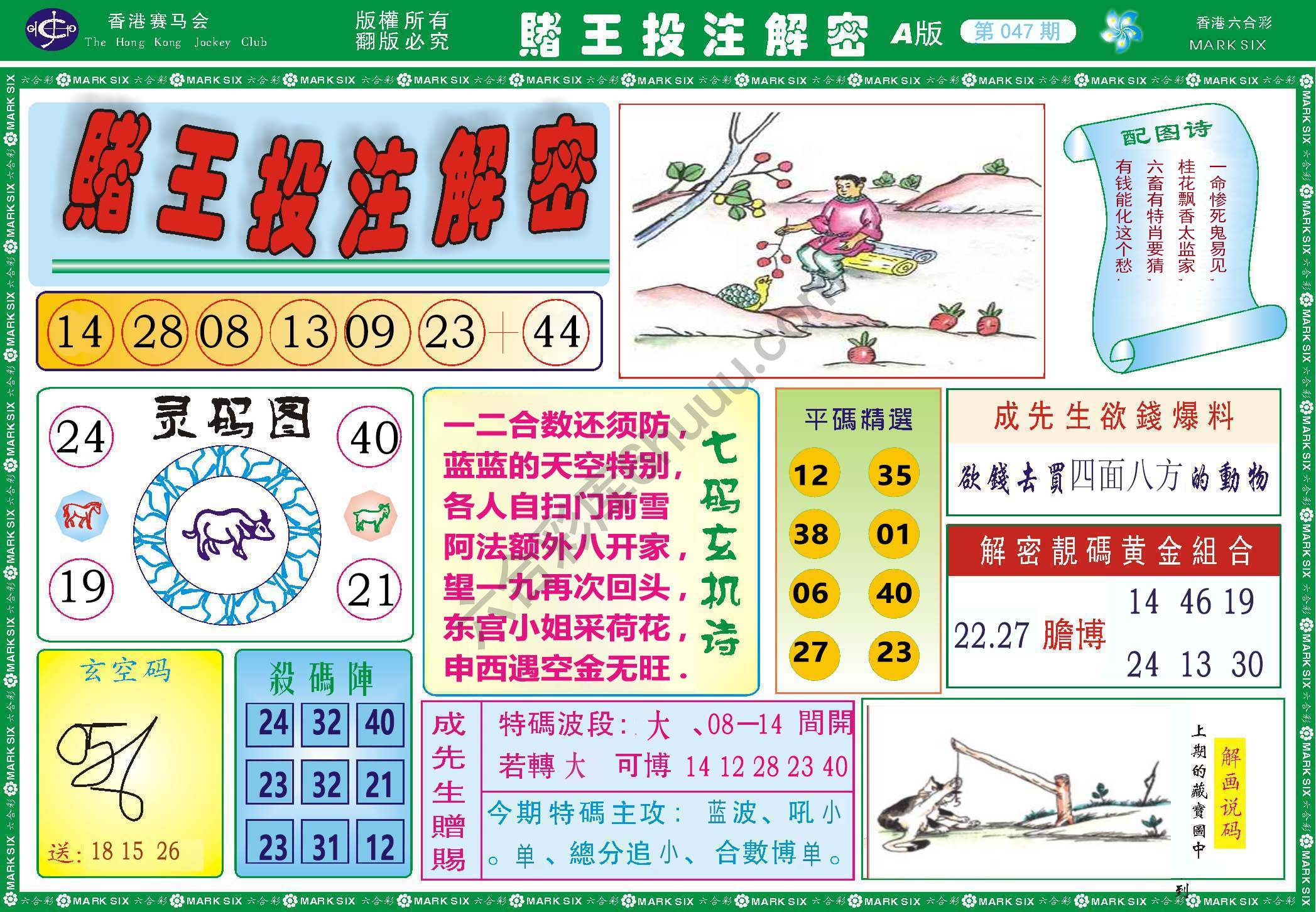 赌王投注解密