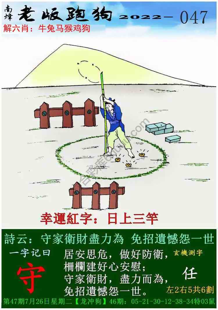 老版跑狗图