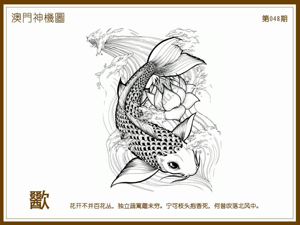 澳门神机图