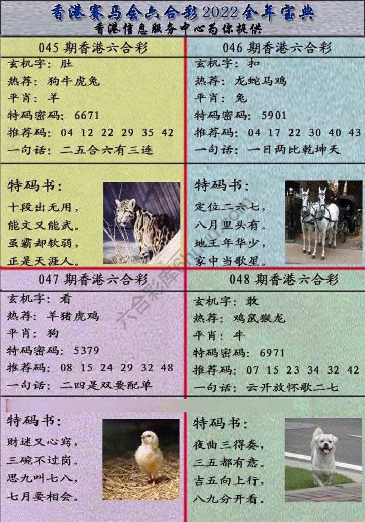 宝典报