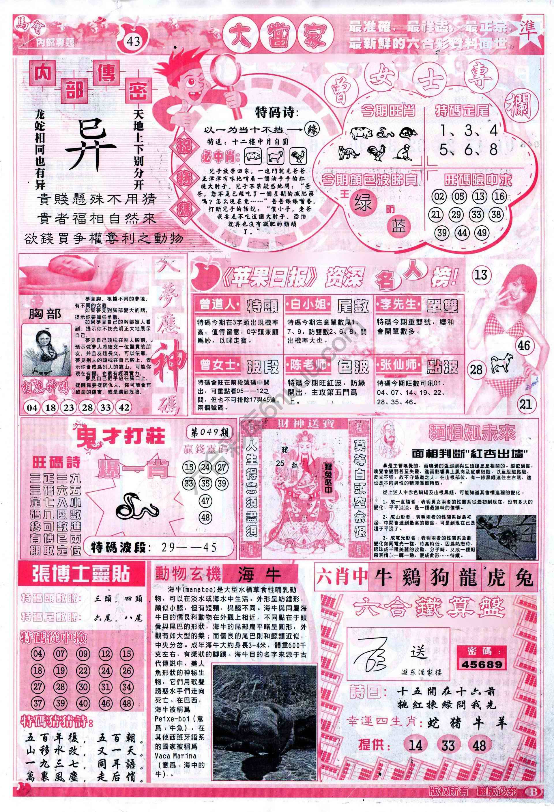 大当家