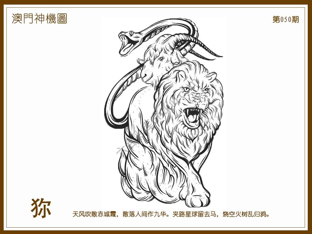 澳门神机图