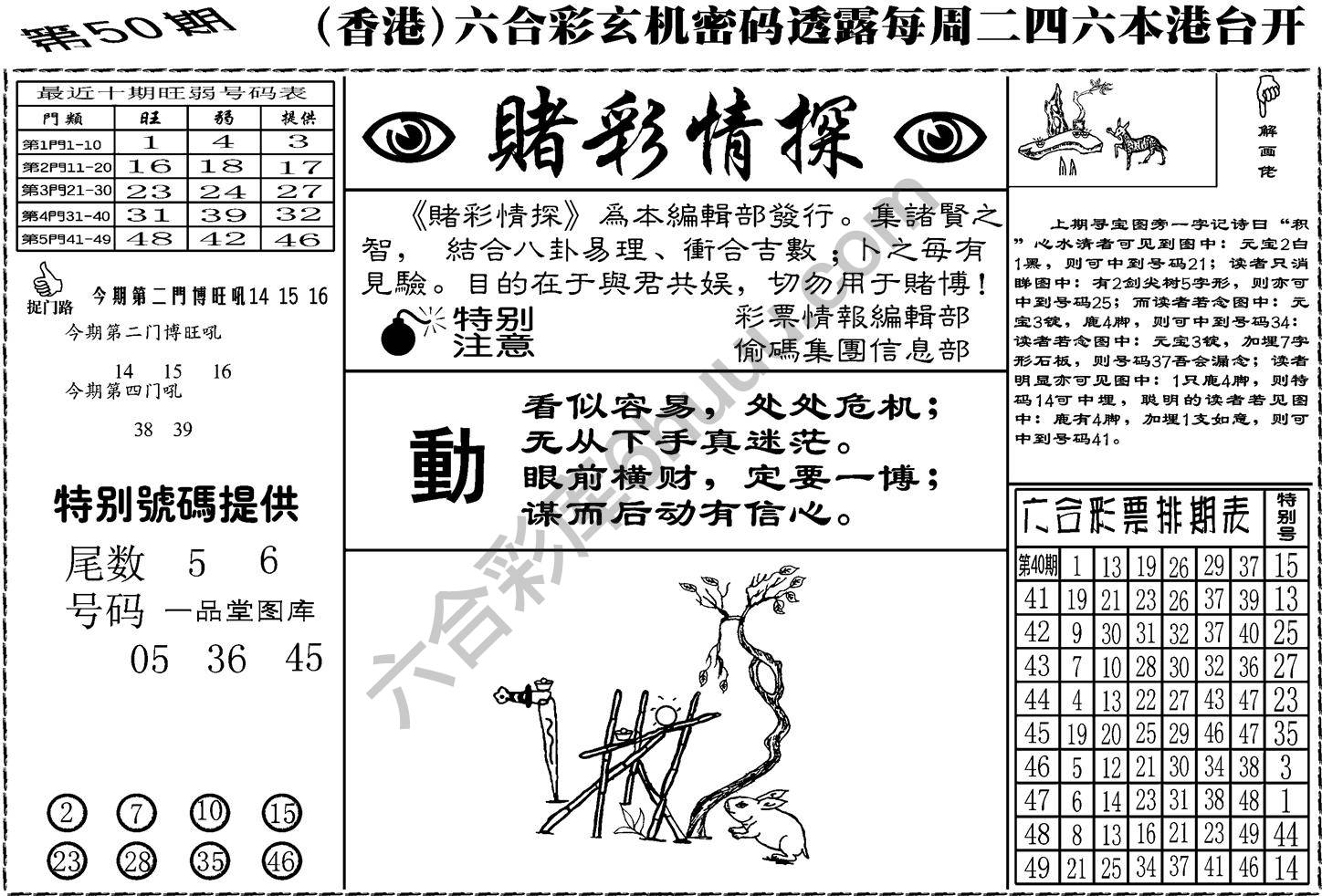 赌彩情探