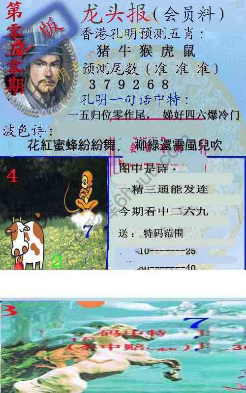 龙头报