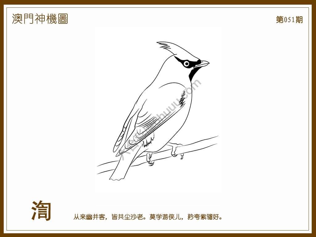 澳门神机图