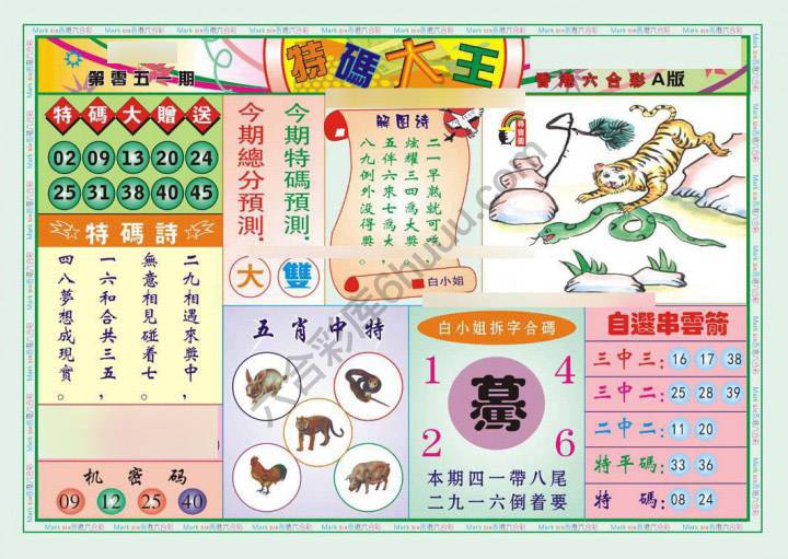 特码大王