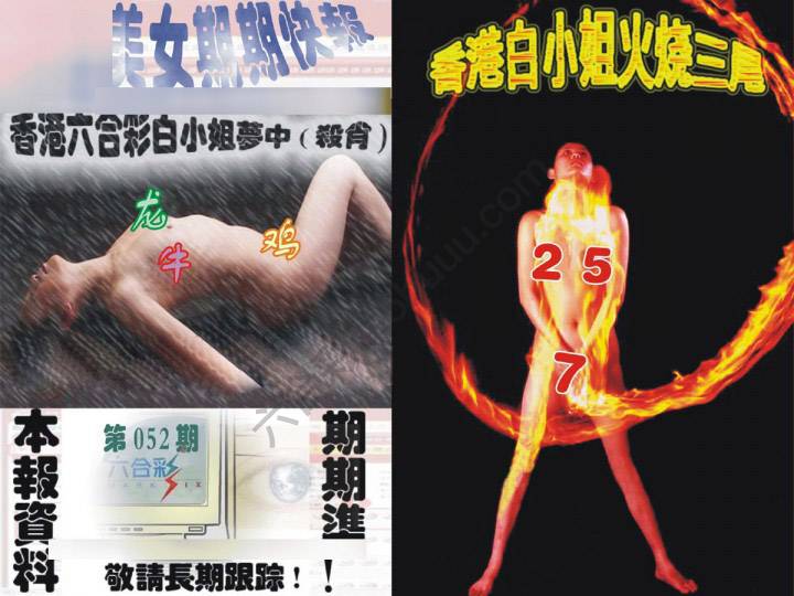 环球美女特码报