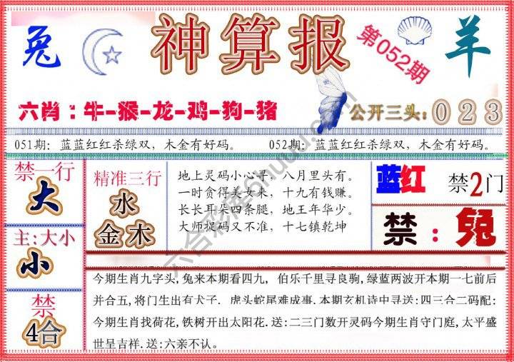 神算报新版
