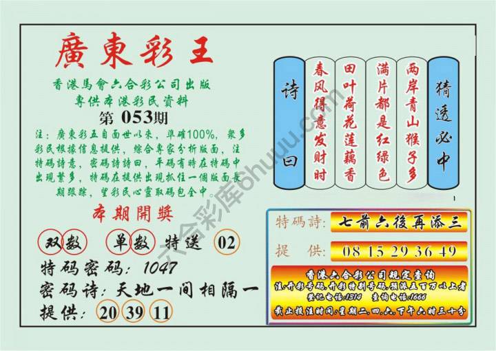 广东彩王