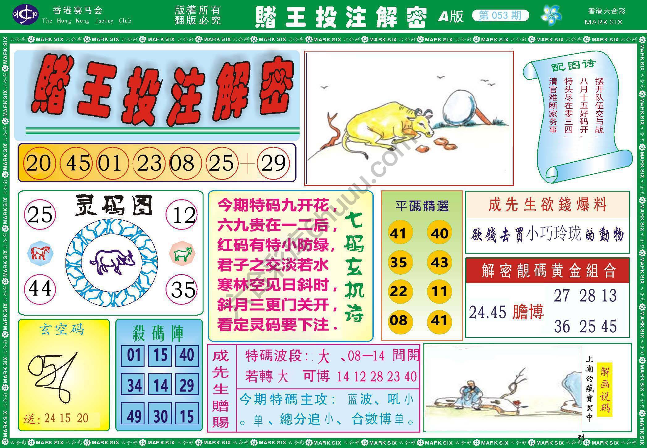 赌王投注解密