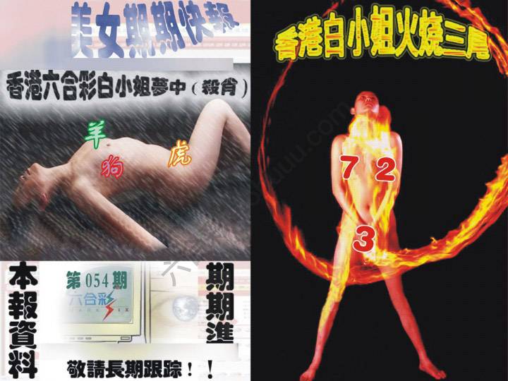 环球美女特码报