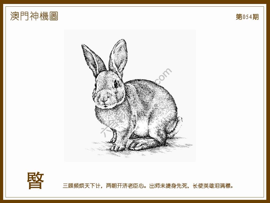 澳门神机图