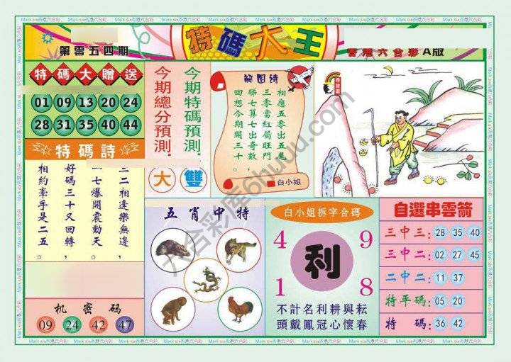 特码大王