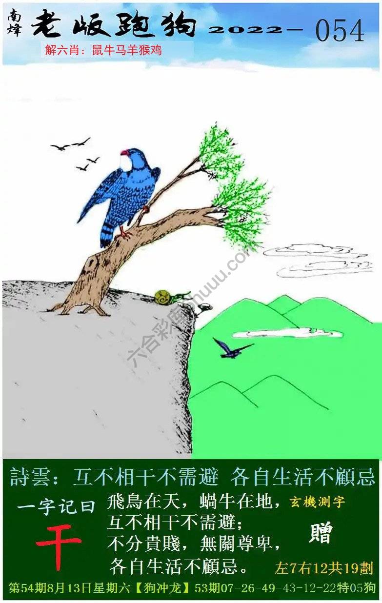 老版跑狗图