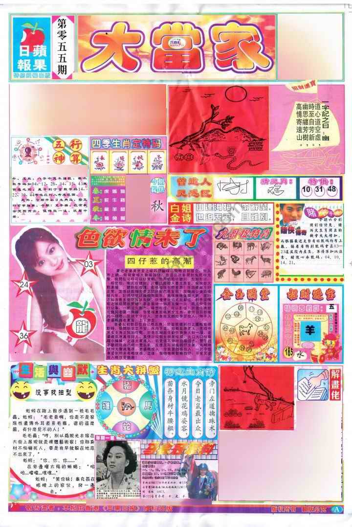 大当家