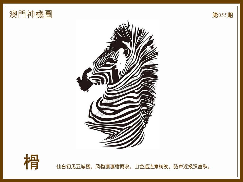 澳门神机图