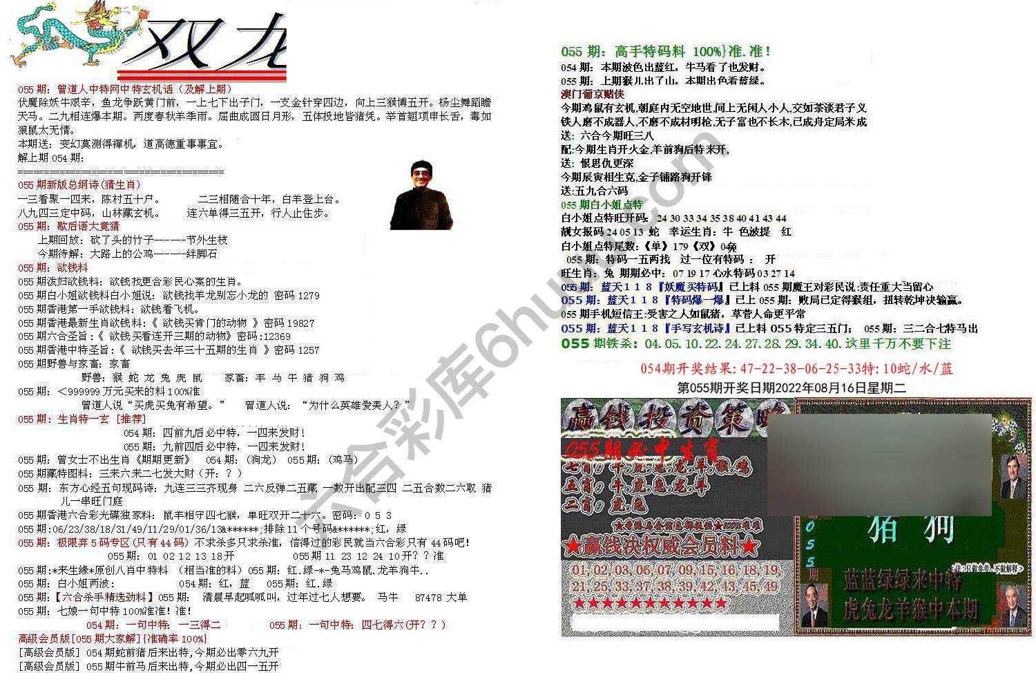 双龙报