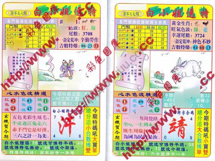白小姐透特