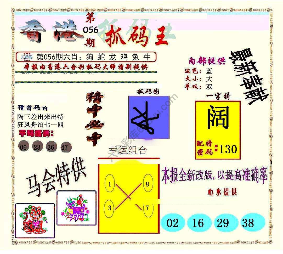 新抓码王