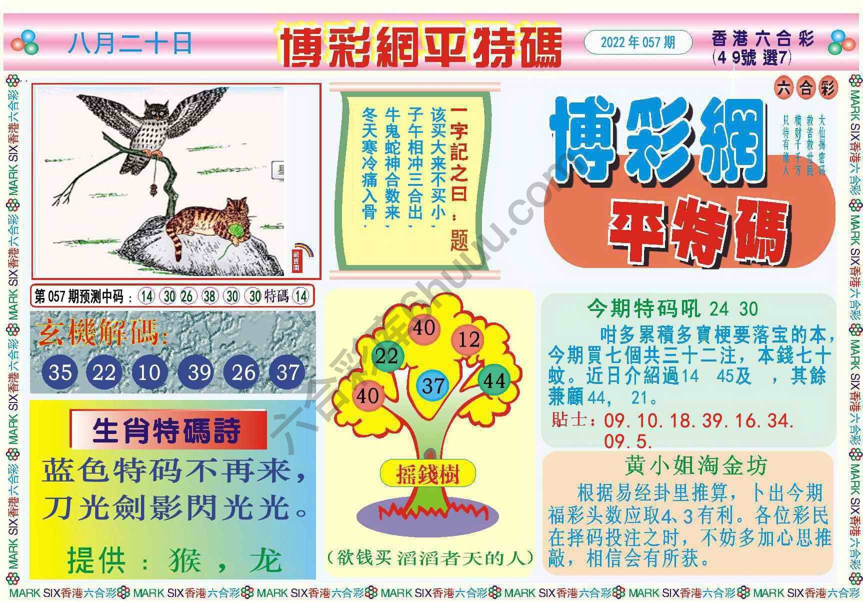 博彩网平特码