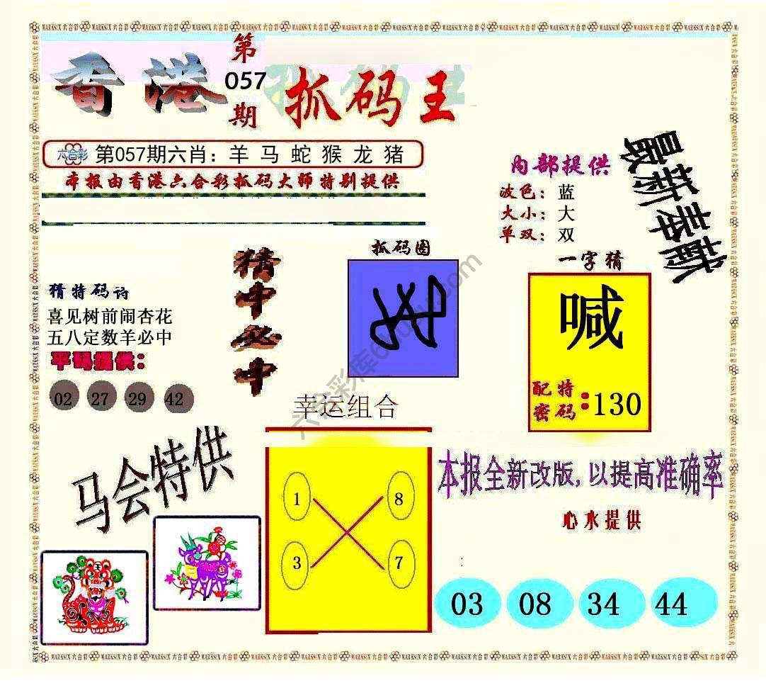 新抓码王
