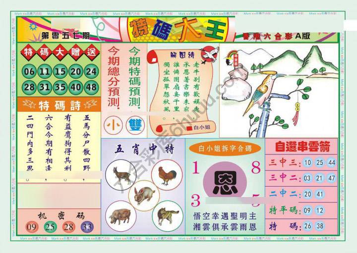 特码大王