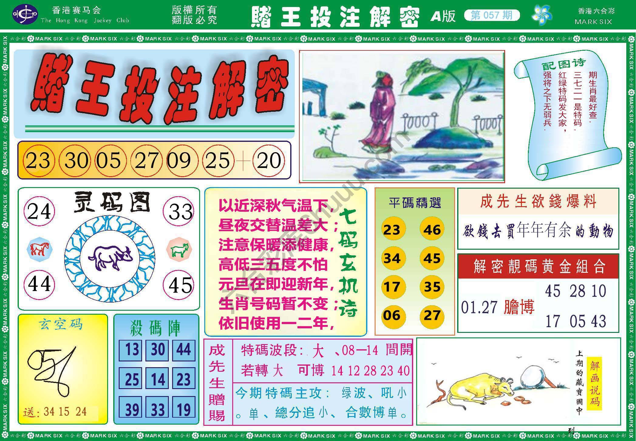 赌王投注解密