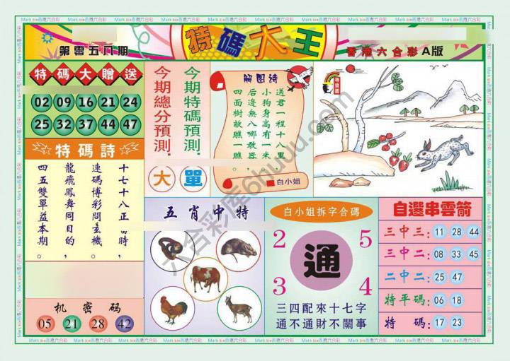 特码大王