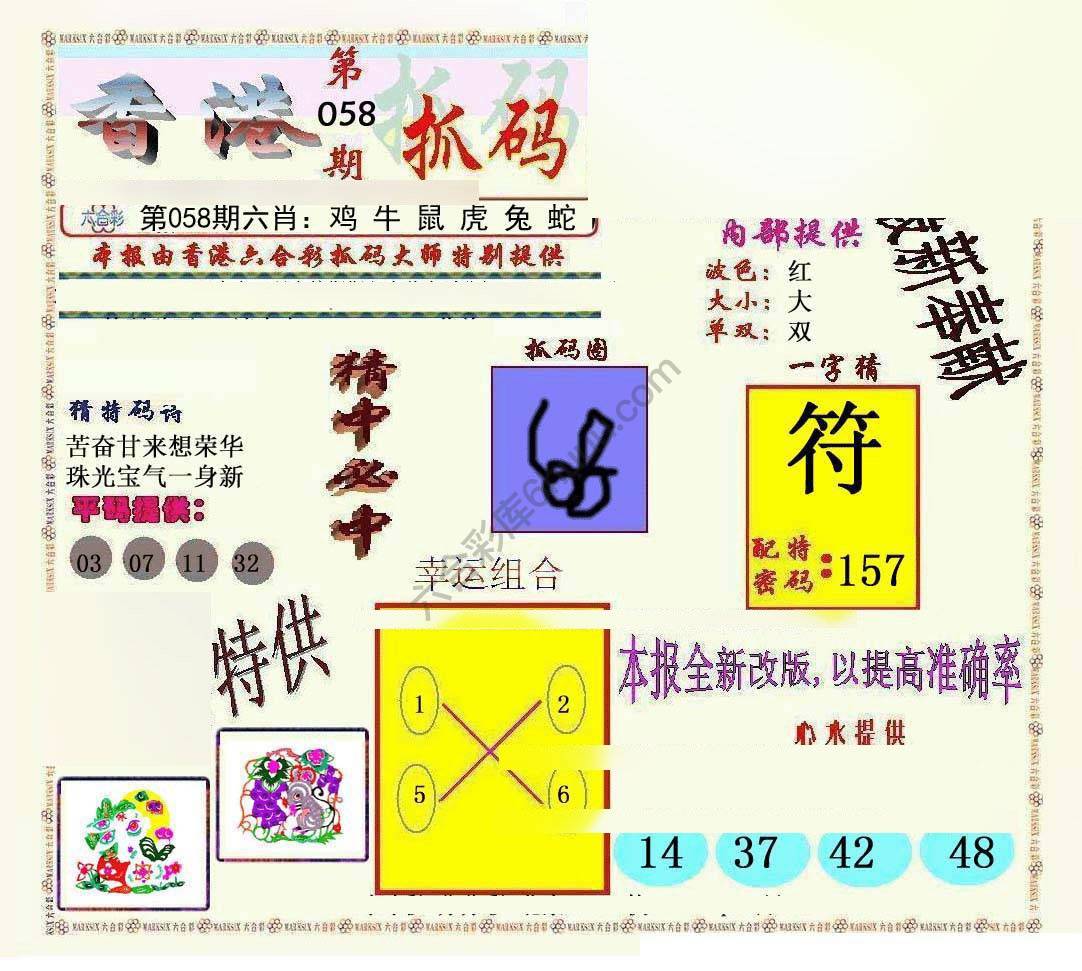 新抓码王
