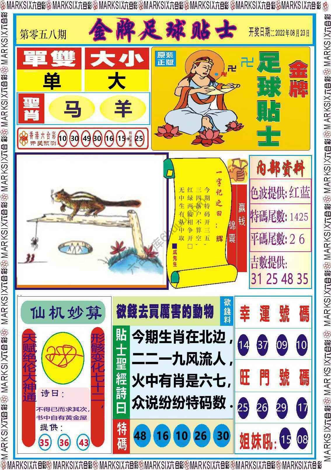 金牌足球贴士