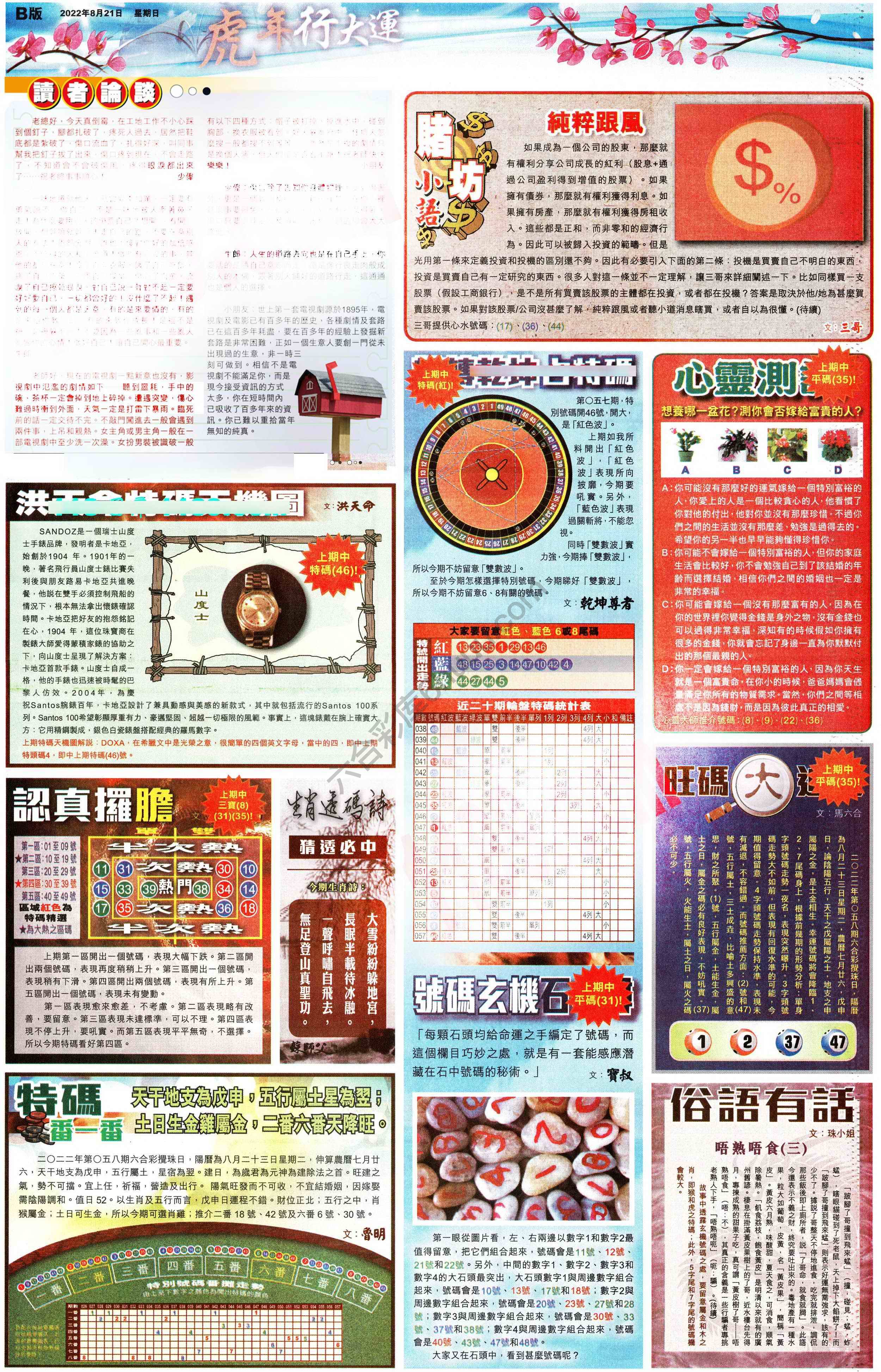 大版贴士皇