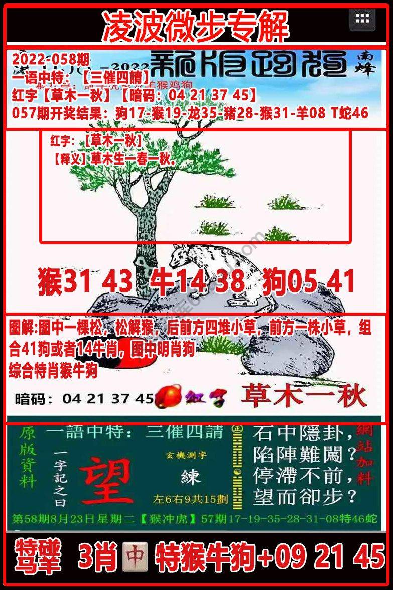 凌波微步解跑狗