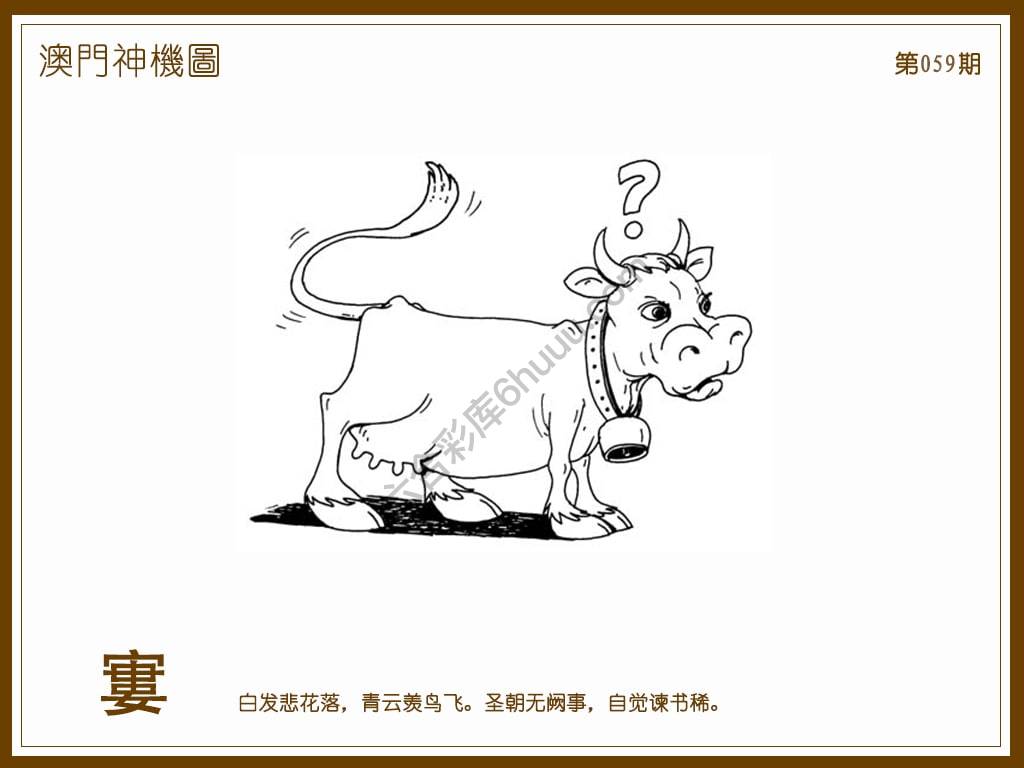 澳门神机图