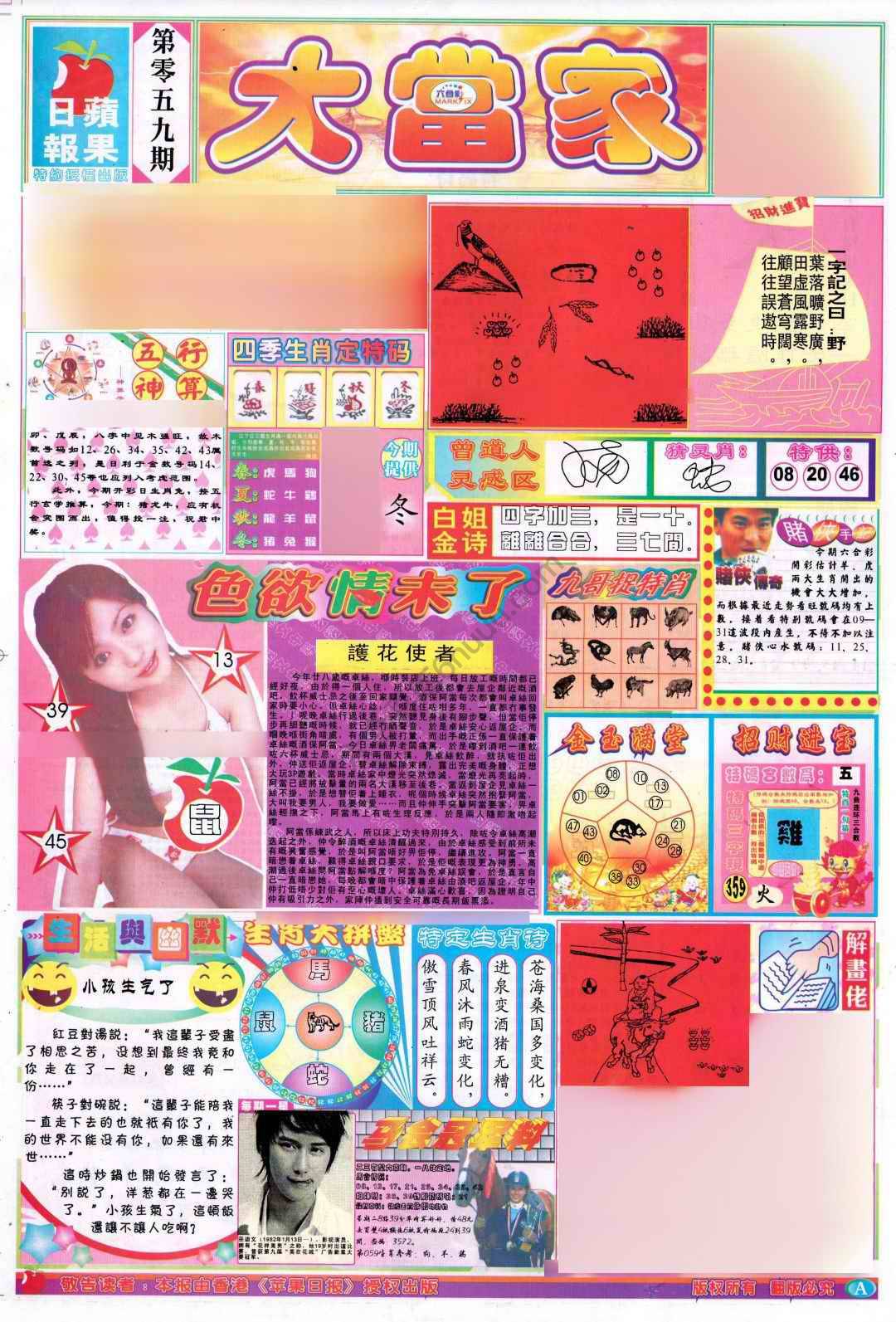 大当家