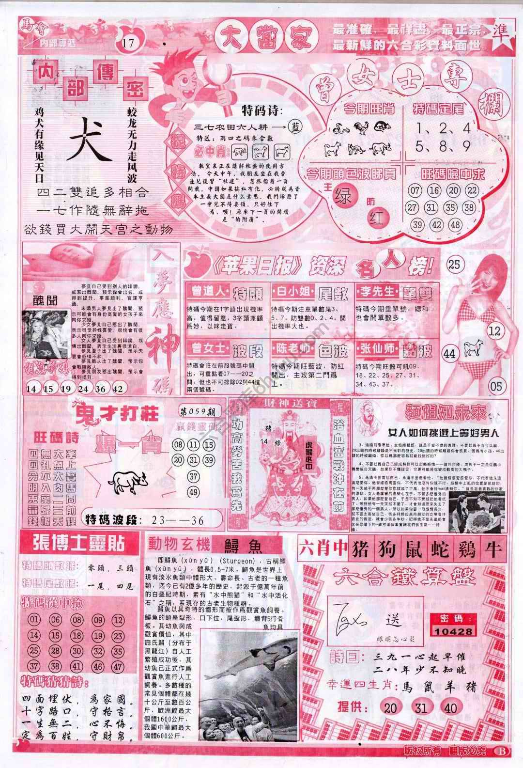 大当家