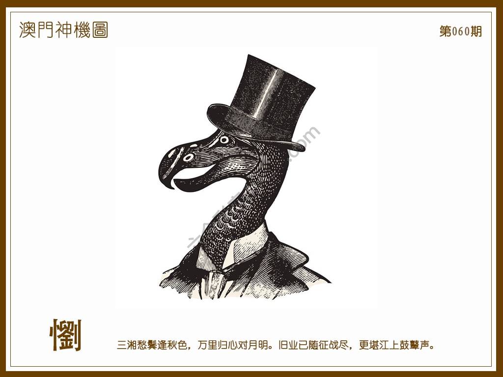 澳门神机图